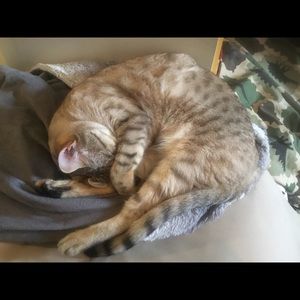 Meet your Posher, Dayna